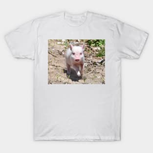 Piggy T-Shirt